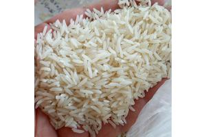 خرید برنج هاشمی دستچین گیلان 5 کیلو از باسلام