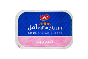 پیشنهاد ویژه خرید پنیر سفید کم چرب پنج ستاره آمل کاله ۴۰۰ گرمی از اسنپ...